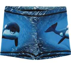 Norton Placed Swimwear